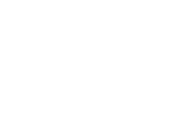 MeritKing